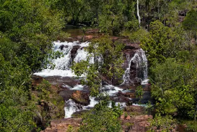 Multiple small waterfalls cascading over reddish rock ledges through dense woodland along the creek between Buley Rockhole and Florence Falls, Northern Territory, Australia.