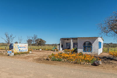 Skuinskoek Paleis roadside stall in Nieuwoudtville surrounded by seasonal wildflowers.
