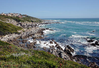 Rocky Hermanus coastline and kelp-lined shoreline viewed from the Cliff Path with mountain backdrops above Walker Bay