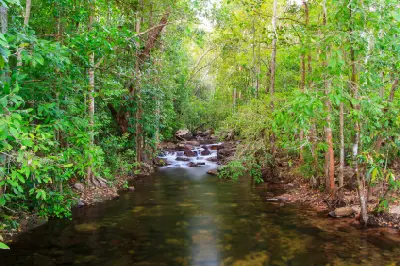 Clear forest creek with small rocky cascades and dense green vegetation along Florence Creek Walk in Litchfield National Park, Northern Territory, Australia.