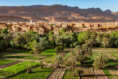 Oasis farmland and kasbah settlement beneath the Atlas Mountains near Tinghir in Morocco