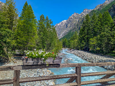 Mountain river and forest valley in Écrins National Park, French Alps