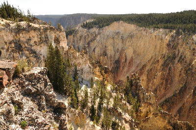 View from Lookout Point across the Grand Canyon of the Yellowstone showing layered cliffs and forested ridges