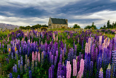 Church of the Good Shepherd near Lake Tekapo, New Zealand