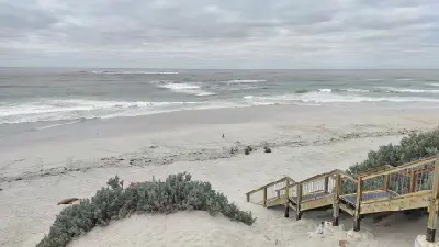 Sea lions resting on Seal Bay beach beside a wooden visitor walkway, with sandy dunes and ocean surf on Kangaroo Island, South Australia.