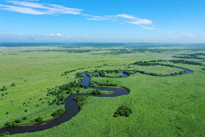 Aerial view of the meandering Kushiro River winding through vast green wetlands in Kushiro Marsh National Park, Hokkaido, Japan.