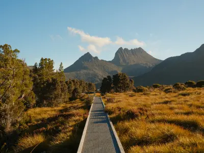 Boardwalk on the Overland Track leading through button-grass moorland towards Cradle Mountain, Tasmania, Australia.