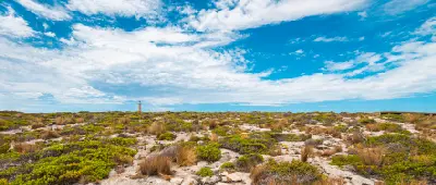 Distant Cape du Couedic Lighthouse above low coastal heathland and native grasses beneath a wide blue-and-white sky on Kangaroo Island.