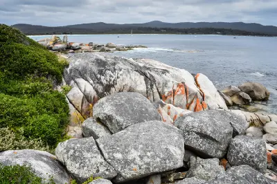 Orange lichen on granite boulders along the shoreline at Binalong Bay, Bay of Fires, Tasmania.