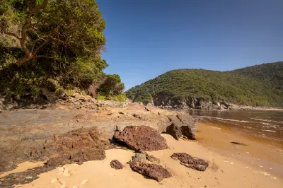 Rocky beach and coastal forest at Salt River Mouth in Nature's Valley on South Africa's Garden Route.