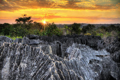 Sunset light over the razor limestone pinnacles of Great Tsingy in Tsingy de Bemaraha National Park, Madagascar