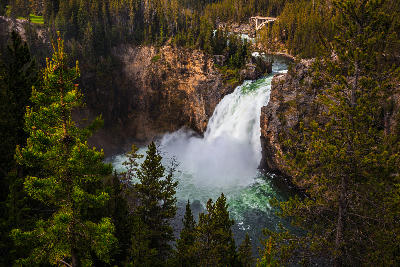 Upper Falls of the Yellowstone River with upstream bridge framed by forested canyon