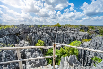 Viewpoint overlooking the limestone pinnacles of Tsingy de Bemaraha National Park in Madagascar