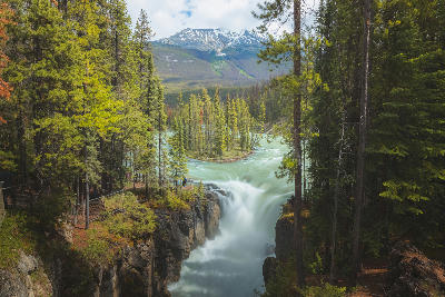 Sunwapta Falls cascading through a forested canyon with distant mountain backdrop in Jasper National Park, Alberta, Canada