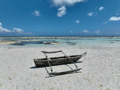 Traditional ngalawa outrigger canoe on the tidal flats of Muyuni Beach near Matemwe on Zanzibar's northeast coast, Tanzania.