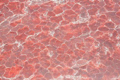 Aerial view of Lake Natron's red salt crust patterned with white mineral cracks, formed by algae and evaporating alkaline water in northern Tanzania.