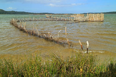 Traditional Tsonga fish traps in the shallow waters of Kosi Bay, KwaZulu-Natal, South Africa.