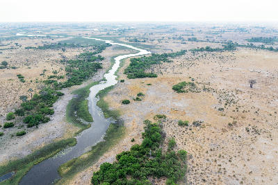Aerial view of winding river channels and floodplains in Moremi Game Reserve, Botswana.