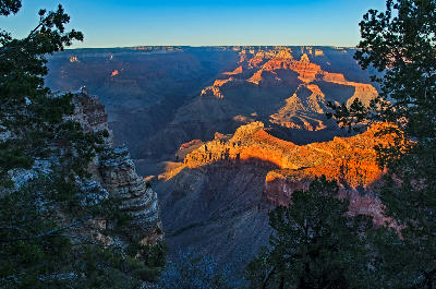 Grand Canyon South Rim view framed by foreground trees with layered canyon formations in warm evening light