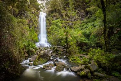 Erskine Falls cascading into a rocky forest stream surrounded by tree ferns and moss-covered boulders near Lorne, Victoria.