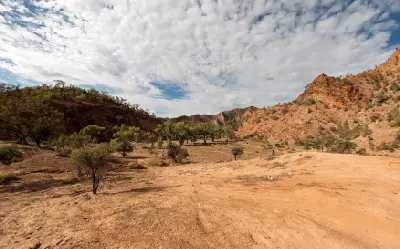 Dry creek bed, eucalyptus trees and red rocky slopes along Brachina Gorge in the Flinders Ranges, South Australia.