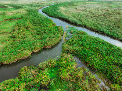 Aerial view of winding river channels and papyrus wetlands in the Okavango Delta, Botswana.