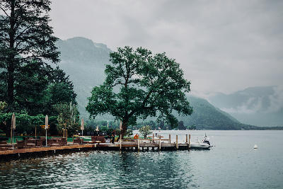 Wooden jetty and lakeside tree on Lake Annecy with calm water and misty mountains in the background