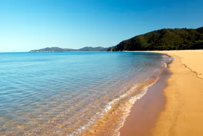 Golden sand shoreline and clear water at Tōtaranui Beach in Abel Tasman National Park, New Zealand.