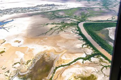 Aerial view of a winding river bordered by dense vegetation and branching tidal channels across broad East Kimberley floodplains.