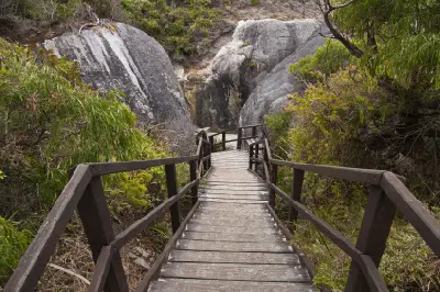 Looking down a wooden boardwalk and staircase framed by green coastal bush and large granite boulders leading towards the beach path.