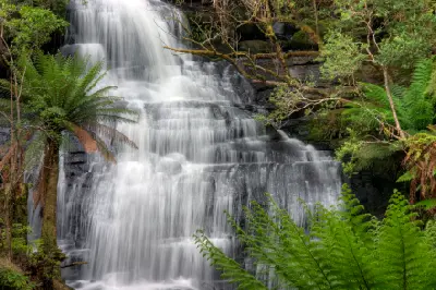 Close view of Triplet Falls cascading over tiered rock among lush tree ferns in Victoria.