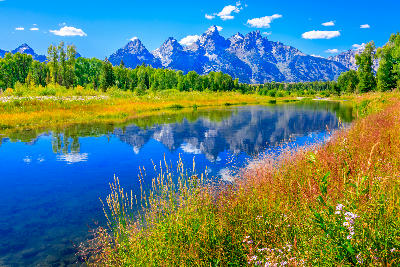 Snake River at Schwabacher Landing with reflection of the Teton Range and grassy riverbank foreground