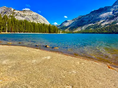 Clear blue water of Tenaya Lake with sandy shore, pine trees, and granite mountains in Yosemite National Park.