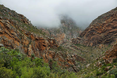 Mist-covered folded sandstone cliffs and indigenous vegetation in Seweweekspoort, Klein Karoo, South Africa.