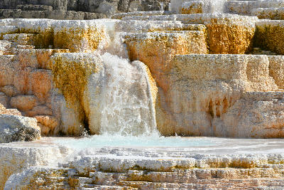 Palette Spring Mammoth Hot Springs Yellowstone travertine terraces cascading mineral pools Wyoming USA