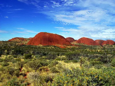 Red domes of Kata Tjuta rise above native desert vegetation beneath a vivid blue sky in the Valley of the Winds.