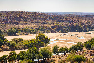 Braided channels of the Limpopo River crossing the semi-arid landscape near Mapungubwe National Park.