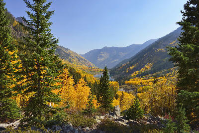 Maroon Creek Valley with golden aspens overlooking Maroon Lake and Elk Mountains, Aspen Colorado