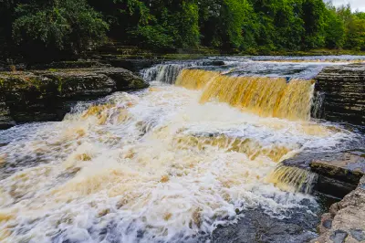 Fast-flowing River Ure cascading over stepped limestone ledges at Aysgarth Falls in the Yorkshire Dales, with foaming water and woodland behind.