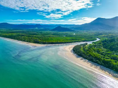 An aerial view displays a winding river cutting through the dense, vibrant green foliage of the ancient Daintree Rainforest to meet a curving sandy beach and clear turquoise ocean water.