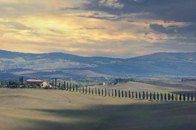 Cypress-lined ridge leading to Poggio Covili farmhouse in the rolling landscape of Val d’Orcia, Tuscany.