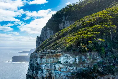 Forest-covered slopes and towering sea cliffs at Cape Raoul, Tasmania.