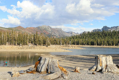 horseshoe lake dead tree stumps exposed shoreline low water mammoth lakes eastern sierra nevada california alpine lake