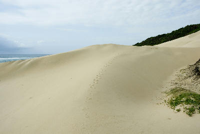 Large coastal sand dunes near Kosi Bay, KwaZulu-Natal, South Africa, with footprints crossing pale sand beside indigenous dune forest and the Indian Ocean.