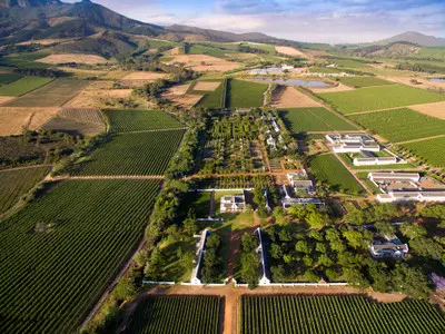 Drone view of Babylonstoren wine estate showing geometric vineyards, formal gardens, Cape Dutch farm buildings, and surrounding mountain landscapes in the Cape Winelands near Franschhoek.