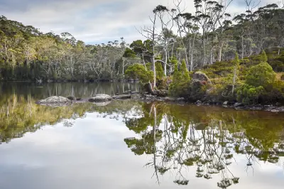 Lake Dobson reflecting autumn vegetation and forested slopes in Mount Field National Park, Tasmania.