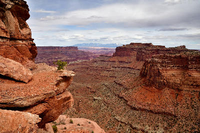 Layered canyon walls and mesas seen from Shafer Canyon Overlook in Island in the Sky Canyonlands National Park Utah