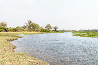 Khwai River flowing through floodplains along the edge of Moremi Game Reserve, Botswana.