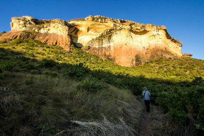 Sunlit Clarens Sandstone cliffs rising above a hiking trail in Golden Gate Highlands National Park, Free State, South Africa.