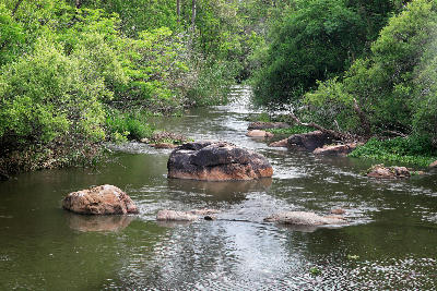Vaal River channel winding through dense riverside vegetation with large boulders in the water within the Vredefort Dome.